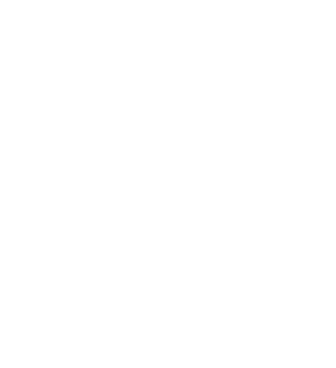 Terra Multimedia